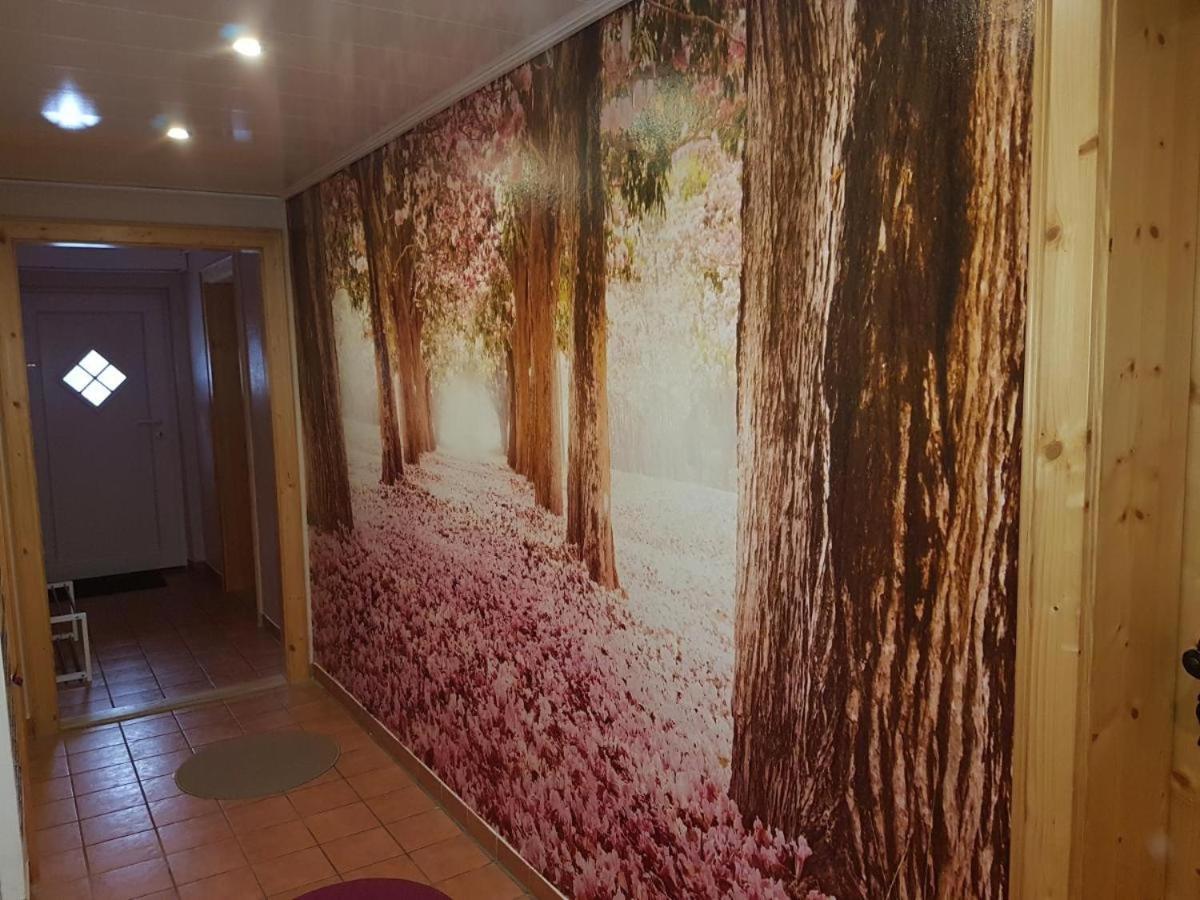 Gaestezimmer Haus Talblick Лаутентхаль Экстерьер фото